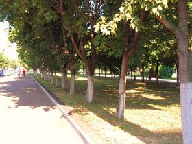 Пенза. Место под библиотеку. Фото: Виктор Шамаев Пенза. Место под библиотеку. Фото: Виктор Шамаев