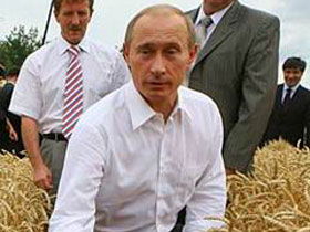Путин во ржи. Фото с сайта www.vsnews.ru Путин во ржи. Фото с сайта www.vsnews.ru