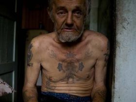 Рецидивист. Фото: www.newzz.in.ua Рецидивист. Фото: www.newzz.in.ua