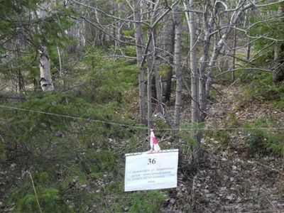 Кладбище для животных в Мончегорске. Фото: flashnord.com Кладбище для животных в Мончегорске. Фото: flashnord.com