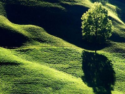 Парк (visit-swiss.ru) Парк (visit-swiss.ru)