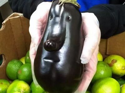 Баклажан. Фото: thingsthatlooklikepeople.com Баклажан. Фото: thingsthatlooklikepeople.com