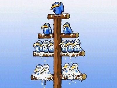 Субординация. Источник - demotivators.ru Субординация. Источник - demotivators.ru