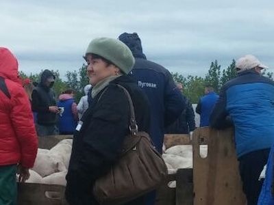 Свиньи на дороге. Фото: РИА "Оренбуржье" Свиньи на дороге. Фото: РИА "Оренбуржье"