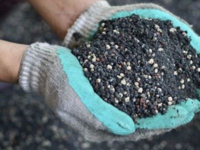 Фосфорные удобрения. Фото: agroxxi.ru Фосфорные удобрения. Фото: agroxxi.ru