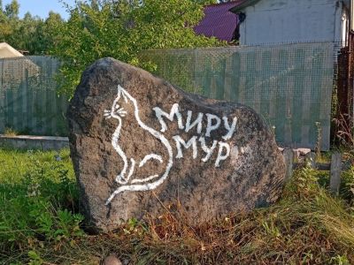 "Миру - мур". Фото: t.me/okun_andrew "Миру - мур". Фото: t.me/okun_andrew